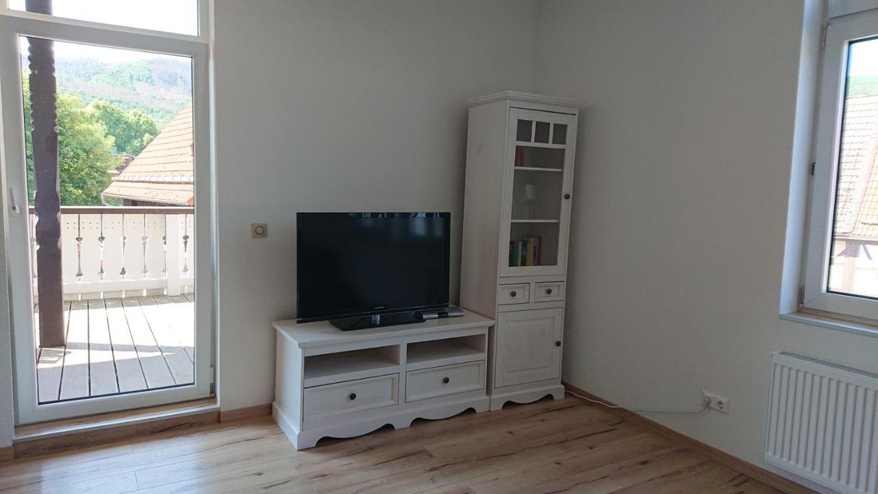 Ferienwohnung Zur Silbertanne Ilsenburg Extérieur photo